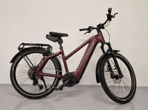 hochwertiges Fahrrad der Marke Riese&M&uuml;ller