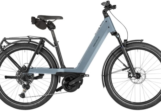 Riese&M&uuml;ller Charger5 Mixte pinion